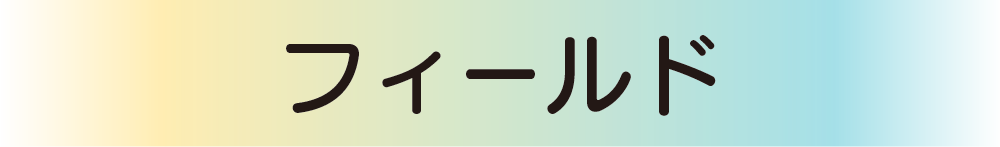 フィールド