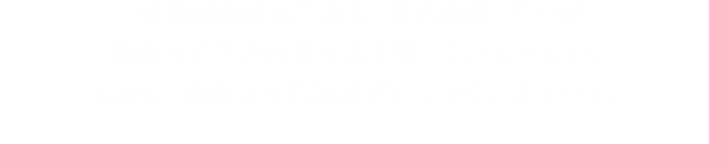 妖精族の族長である「夢の妖精」だけが精霊ルビスの召喚方法を知っているらしい。しかし、族長は行方知れずになっているという。