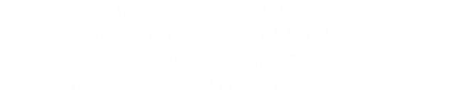精霊ルビスとつながりの深い妖精族が暮らす「妖精の隠れ里」。人間が苦手な妖精も多く、妖精族の信頼を得る必要がありそうだ。