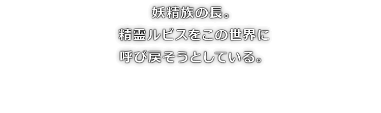 妖精族の長。精霊ルビスをこの世界に呼び戻そうとしている。
