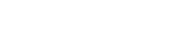 屈強な肉体から「せいけんづき」や「まじん斬り」といった攻撃を繰り出すほか、味方を守る「におう立ち」なども覚え、攻守ともに活躍できる。