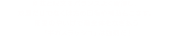 剣技と呪文をバランスよく習得し、攻撃だけでなく味方の回復や補助もこなす。稲妻のやいばで敵全体をなぎ払う「ギガスラッシュ」は強烈だ！
