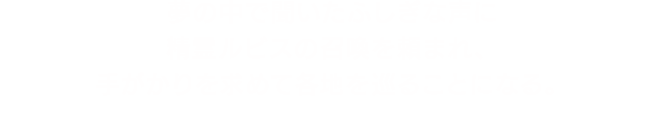 夢の中で聞いたふしぎな声に精霊ルビスの召喚を頼まれ、手がかりを求めて各地を巡ることになる。