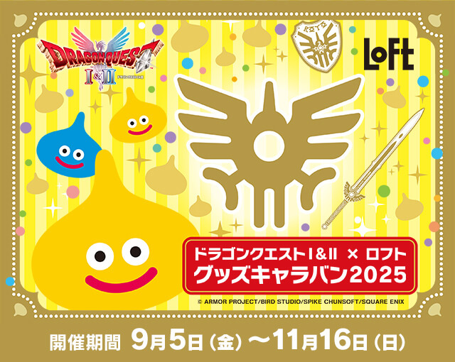 Switch 2020年頃購入 ドラクエコラボ　ケース付き item-7749086_4988601011976-