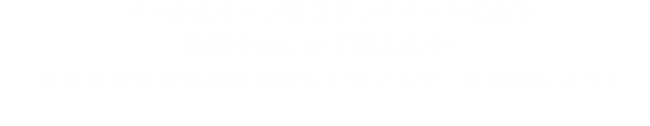 バトルはターン制コマンドバトルなので時間を気にせず戦えるぞ！多彩な呪文や特技を駆使してモンスターを撃破しよう！