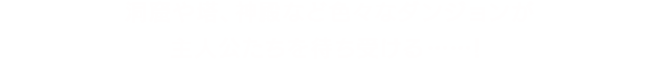 洞窟や塔、神殿など色々なダンジョンが主人公たちを待ち受ける……！