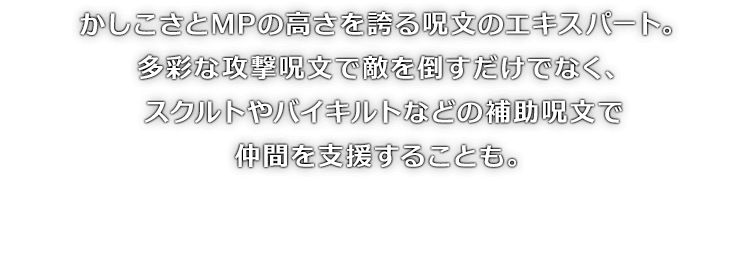 かしこさとMPの高さを誇る呪文のエキスパート。多彩な攻撃呪文で敵を倒すだけでなく、スクルトやバイキルトなどの補助呪文で仲間を支援することも。