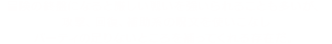 冒険の終盤になると厳しい戦いを強いられることも多いが、攻撃、回復、補助系の呪文を使いこなしパーティの足りないところを補ってくれる存在だ。