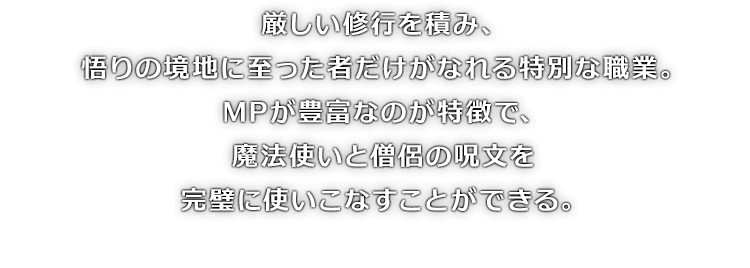 厳しい修行を積み、悟りの境地に至った者だけがなれる特別な職業。MPが豊富なのが特徴で、魔法使いと僧侶の呪文を完璧に使いこなすことができる。