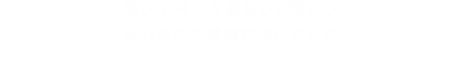 呪文や特技を駆使して戦おう。迫力満点の戦闘が楽しめるぞ!