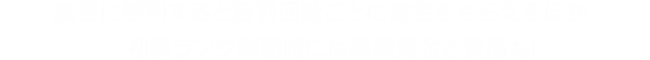 試合に勝利すると勝利回数ごとに賞金をもらえるほか、初回ランク制覇時には高額賞金と賞品も!