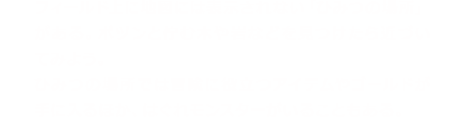 フィールド上に地図には表示されない「ひみつの場所」がある。ポツンと佇む木や岩などを見つけたら近づいてみよう。ひみつの場所では冒険に役立つアイテムやゴールドが手に入るほか、はぐれモンスターがいることもある。