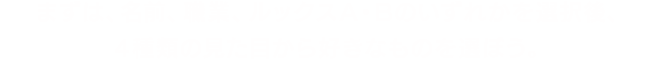 まずは、名前、職業、ルックスA・Bのいずれかを選択後、4種類の見た目から好きなものを選ぼう。