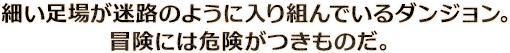 細い足場が迷路のように入り組んでいるダンジョン。冒険には危険がつきものだ。