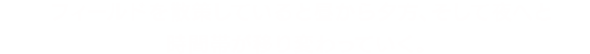 フィールドを散策していると昼から夕方、そして夜へと時間帯が移り変わっていく。